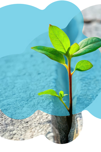 Projektbild Programm-Management «Förderprogramm Anpassung an den Klimawandel»