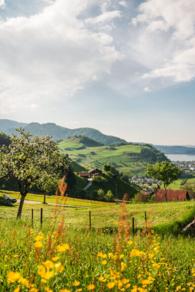 Projektbild Aufbau holokratisches Zusammenarbeitsmodell